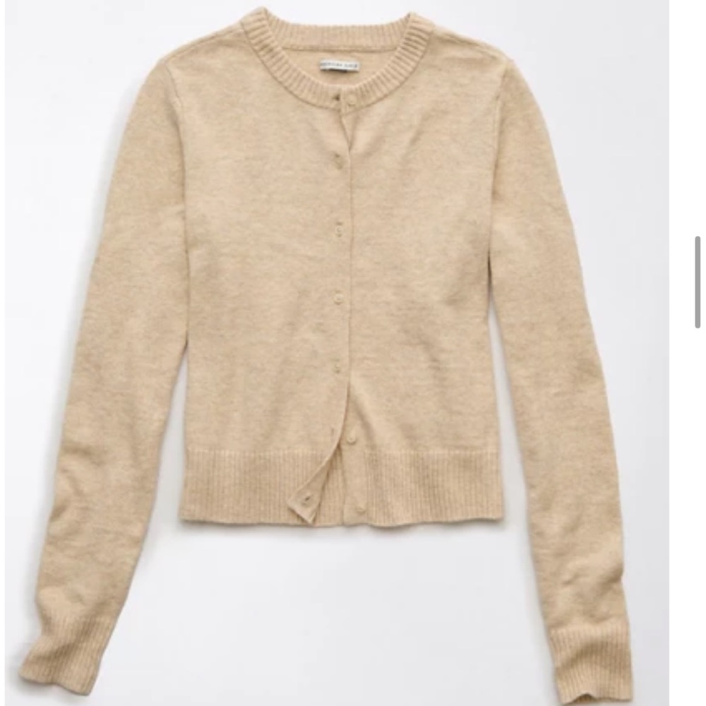 NWOT American Eagle Crewneck Cardigan